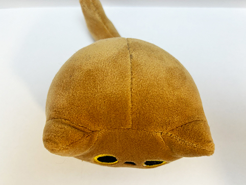 Complex Object: Cat Plush Toy
